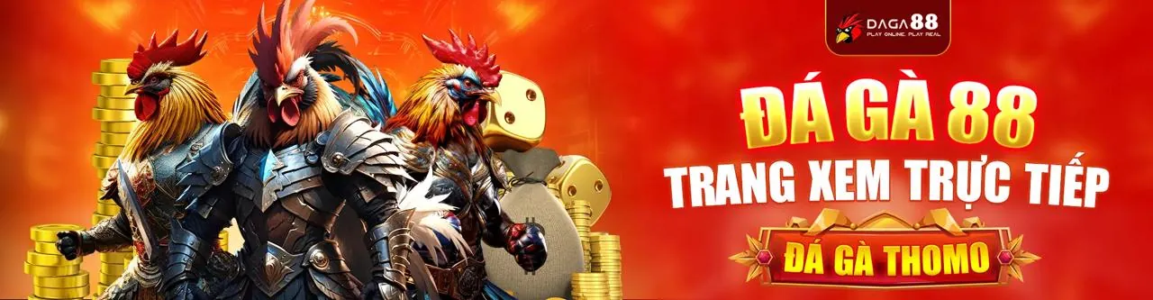 Đá gà trực tuyến kịch tính tại winplay link vào